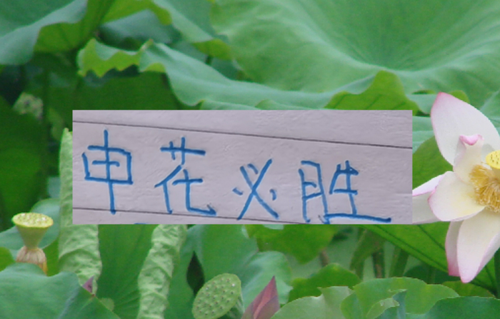 现阶段的申花要拿冠军！最大的依仗还是锋线进球能力|上海申花|上海海港|鲁迪·盖伊|上海申花足球俱乐部|大连英博_新浪体育_新浪新闻